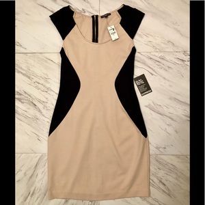 Express Black and Beige Dress